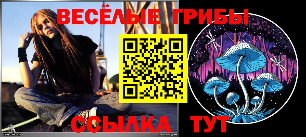 Галлюциногенные грибы Psilocybe  Вход с VPN  Галлюциногенные грибы Psilocybine cubensis  Златоуст 