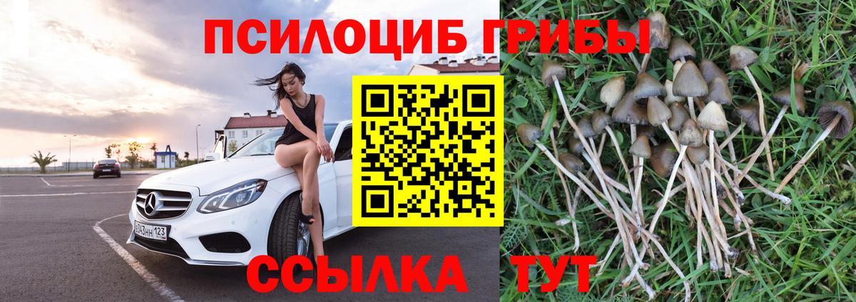 Псилоцибиновые грибы прущие грибы Златоуст